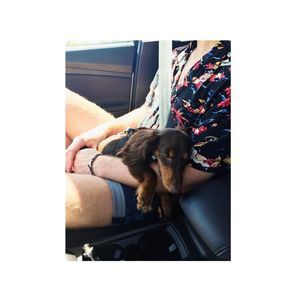 Meet your Posher, Michael